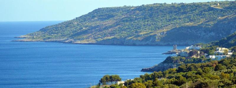 Hotel Il Vascello Marina Serra Eksteriør billede